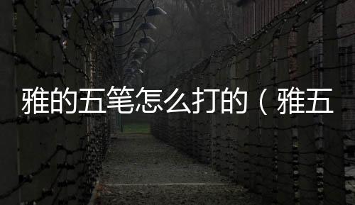 雅的五筆怎么打的（雅五筆怎么打）