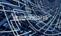 雅培的奶粉好嗎