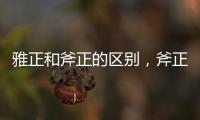 雅正和斧正的區別，斧正和雅正有什么區別