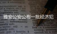雅安公安公布一批經濟犯罪典型案例