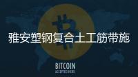 雅安塑鋼復(fù)合土工筋帶施工方案