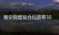 雅安鋼塑復(fù)合拉筋帶30020C性能說明