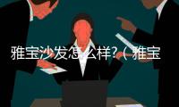 雅寶沙發(fā)怎么樣?（雅寶家具怎么樣）