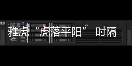 雅虎“虎落平陽” 時隔8年微軟再次嘗試收購