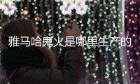 雅馬哈鬼火是哪里生產的（雅馬哈鬼火）