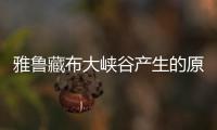 雅魯藏布大峽谷產(chǎn)生的原因是 雅魯藏布大峽谷形成原因