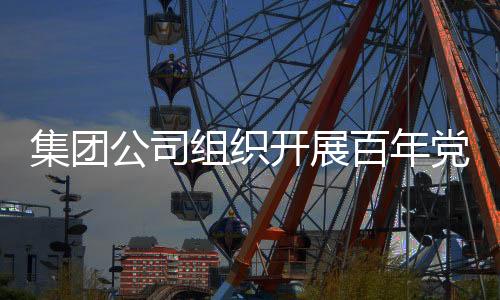 集團(tuán)公司組織開展百年黨史微課評選
