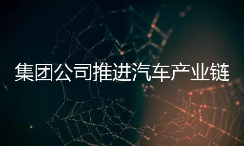 集團公司推進汽車產業鏈協同拓展項目