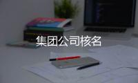 集團公司核名