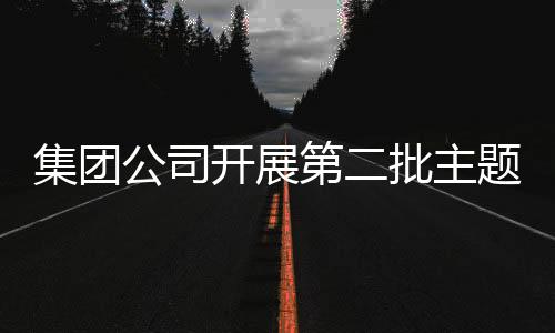集團公司開展第二批主題教育巡回督導組培訓