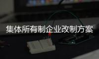 集體所有制企業(yè)改制方案（集體所有制企業(yè)改制）