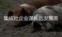 集成灶企業謀長遠發展需得多方考慮 全面發展