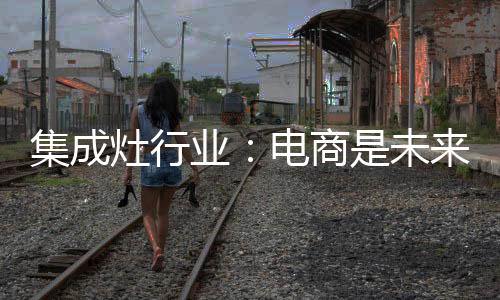 集成灶行業(yè)：電商是未來發(fā)展的不二選擇