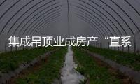 集成吊頂業成房產“直系血親”