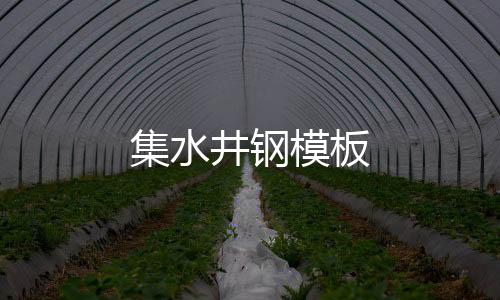 集水井鋼模板