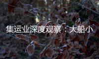 集運業深度觀察：大船小貨