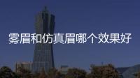 霧眉和仿真眉哪個效果好 霧眉和仿真眉的區別