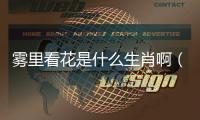 霧里看花是什么生肖啊（霧里看花代表什么生肖）
