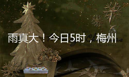 雨真大！今日5時，梅州啟動防汛Ⅳ級應急響應