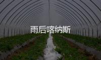雨后喀納斯