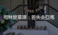 雨林變草原：若失去亞馬遜，高達900億噸二氧化碳將進入大氣