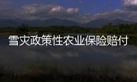 雪災政策性農業保險賠付到位
