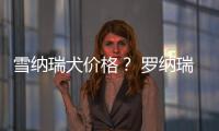 雪納瑞犬價(jià)格？ 羅納瑞犬的價(jià)格