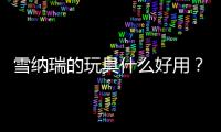 雪納瑞的玩具什么好用？雪納瑞愛玩什么玩具