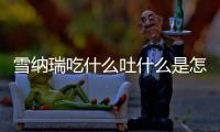 雪納瑞吃什么吐什么是怎么回事？雪納瑞吃了吐應該吃什么藥