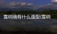 雪納瑞有什么造型(雪納瑞留頭發(fā)的造型)