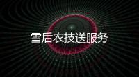 雪后農(nóng)技送服務(wù)