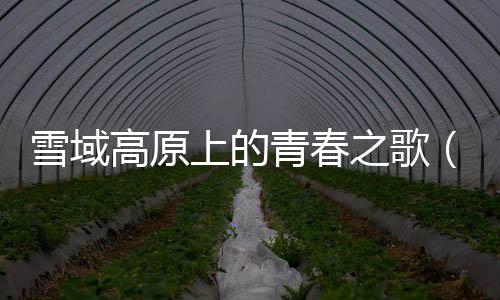 雪域高原上的青春之歌（我們這里的年輕人）
