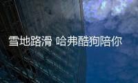 雪地路滑 哈弗酷狗陪你一路安全抵達