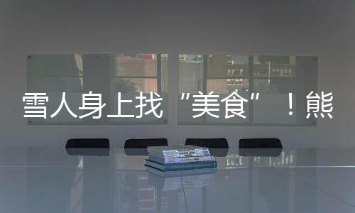 雪人身上找“美食”！熊貓“七仔”一屁股坐下大快朵頤