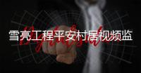 雪亮工程平安村居視頻監控箱