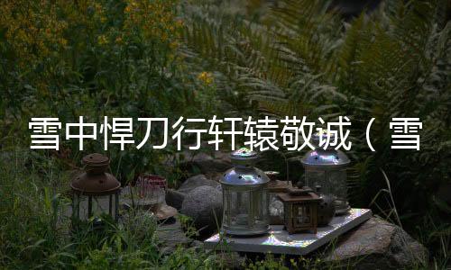 雪中悍刀行軒轅敬誠（雪中悍刀行軒轅敬城老婆雙修了幾次）