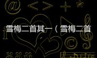 雪梅二首其一（雪梅二首）