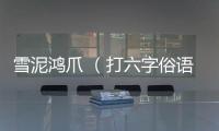 雪泥鴻爪 （打六字俗語）