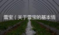 雪寶（關于雪寶的基本情況說明介紹）