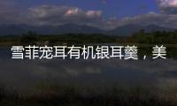 雪菲寵耳有機(jī)銀耳羹，美味營(yíng)養(yǎng)就在身邊！品質(zhì)產(chǎn)品，放心代理！
