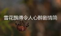 雪花飄得令人心醉劇情簡介