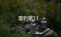 雪豹第13