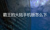 霸王的大陸手機版怎么下載