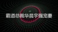 霸道總裁華晨宇強寵妻