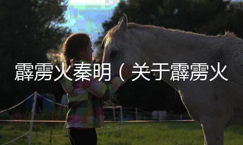 霹靂火秦明（關(guān)于霹靂火秦明的基本情況說明介紹）