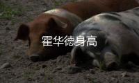 霍華德身高