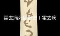 霍去病死因野史（霍去病死因）
