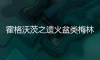 霍格沃茨之遺火盆類梅林試煉怎么玩