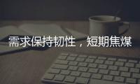 需求保持韌性，短期焦煤價(jià)格震蕩運(yùn)行