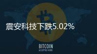 震安科技下跌5.02%2019年凈利潤下降20%